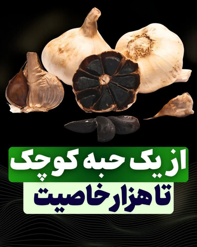 سیرسیاه ژاپنی | خاصیت درمانی و تقویت قوای جنسی و رفع زودانزالی