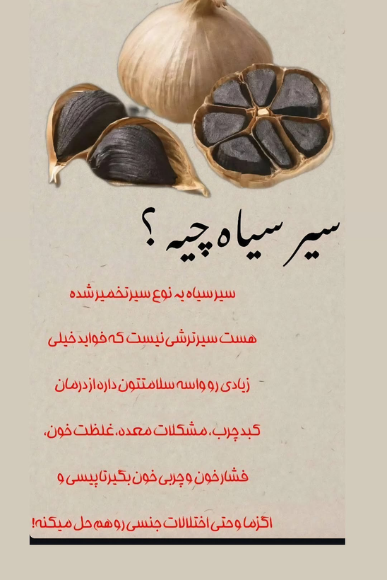 سیرسیاه ژاپنی | خاصیت درمانی و تقویت قوای جنسی و رفع زودانزالی